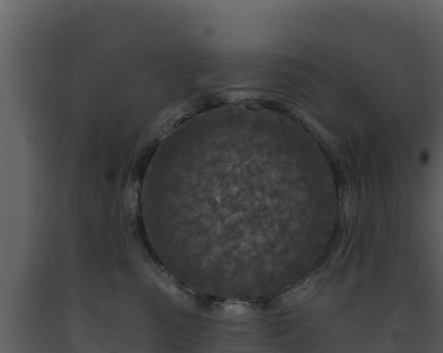 X0000093470475200710191149