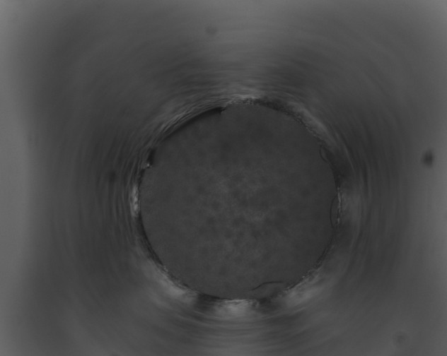 X0000093470479200710191149