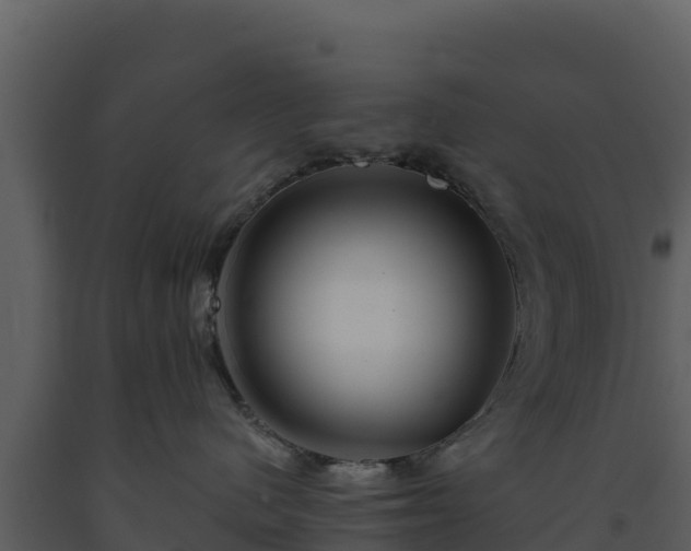 X0000093470480200710191149