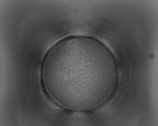 X0000093470487200710191148