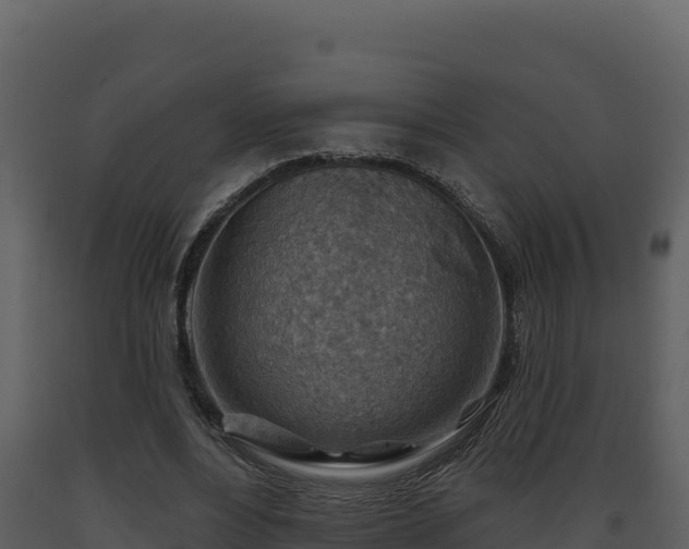 X0000093470488200710191148