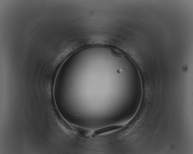 X0000093470489200710191148