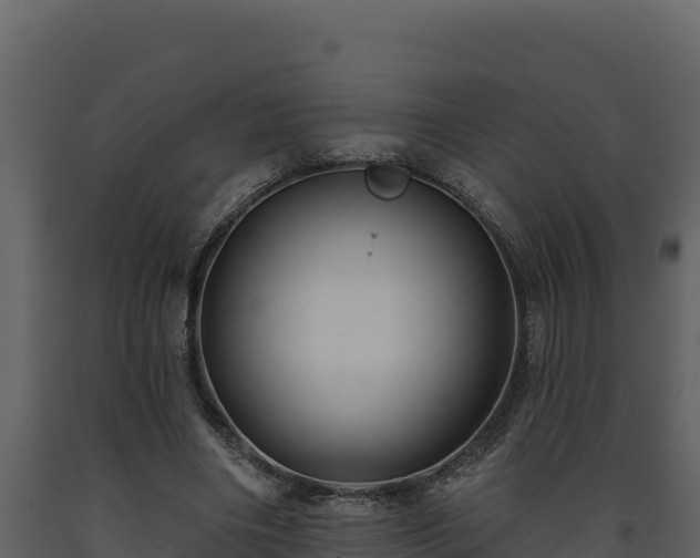 X0000093470490200710191148