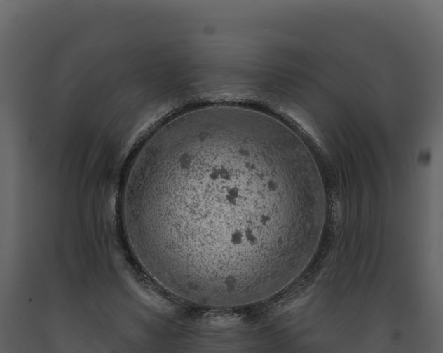 X0000093470491200710191148