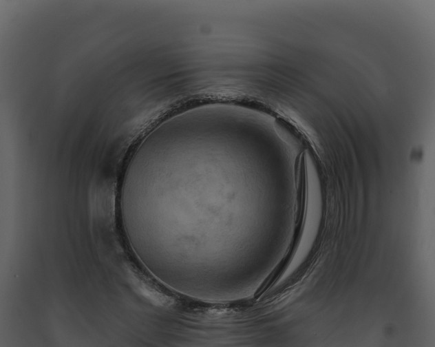 X0000093470493200710191148