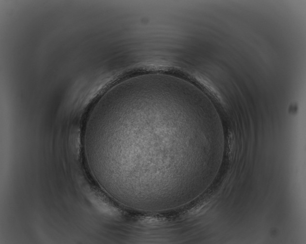 X0000093470494200710191148