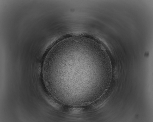 X0000093470495200710191148