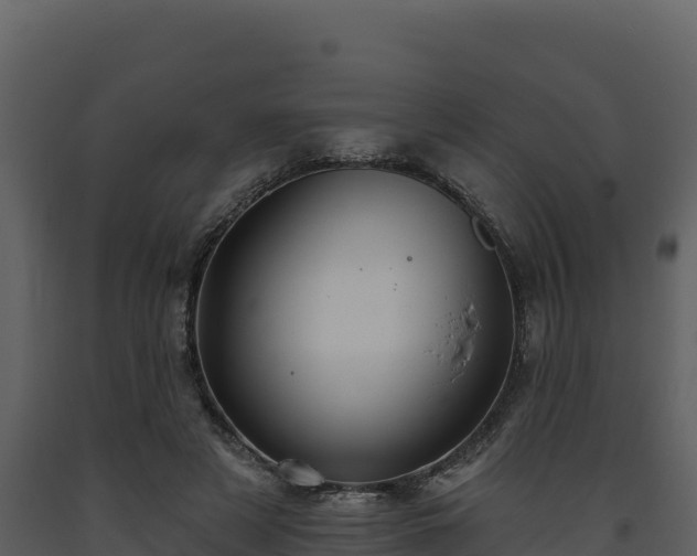 X0000093470497200710191148