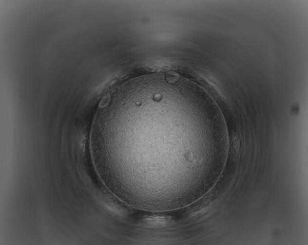 X0000093470499200710191148