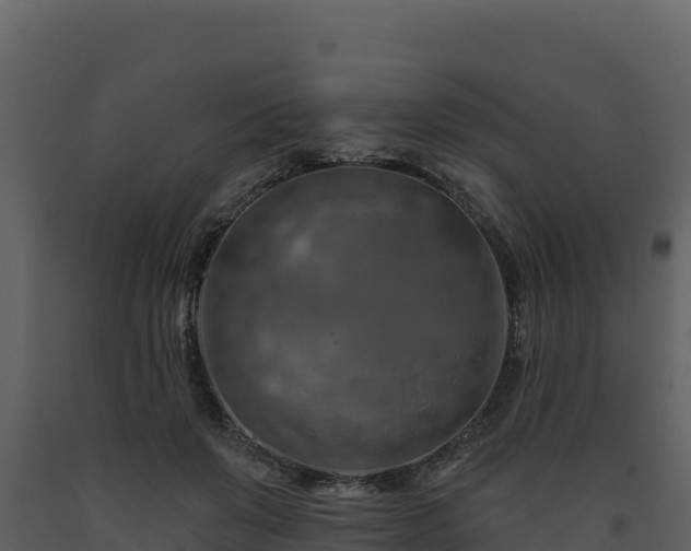 X0000093470503200710191148