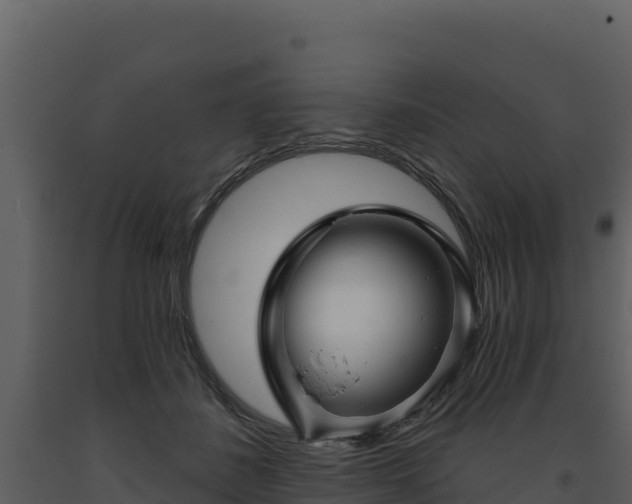 X0000093470508200710191148