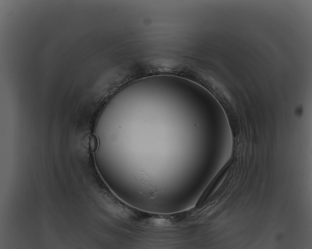 X0000093470509200710191148