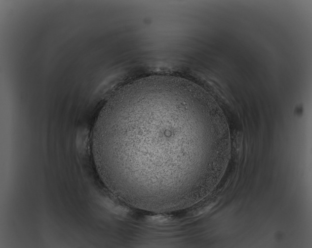 X0000093470511200710191148