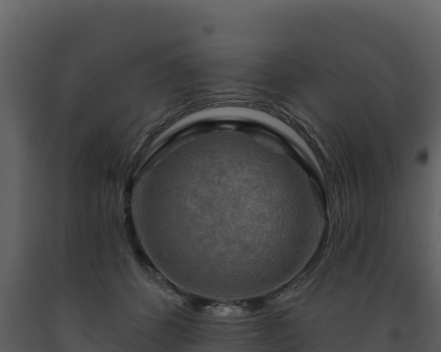 X0000093470512200710191148