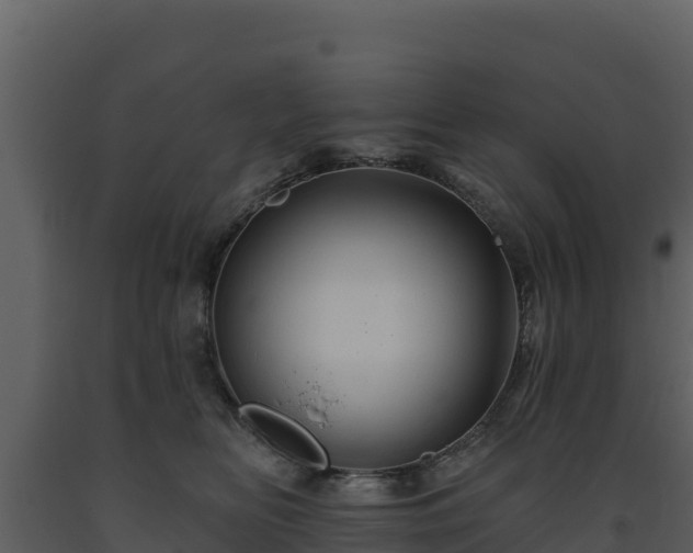 X0000093470518200710191148