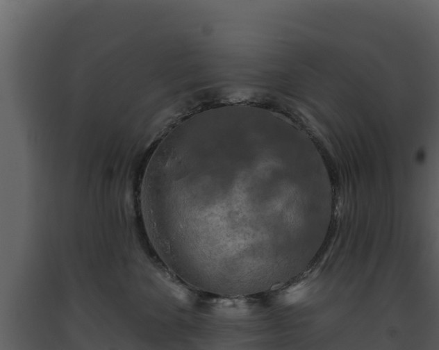 X0000093470524200710191148