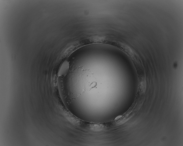 X0000093470525200710191148