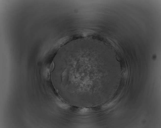 X0000093470527200710191148