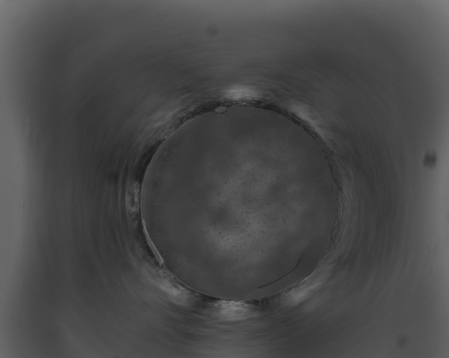 X0000093470528200710191148