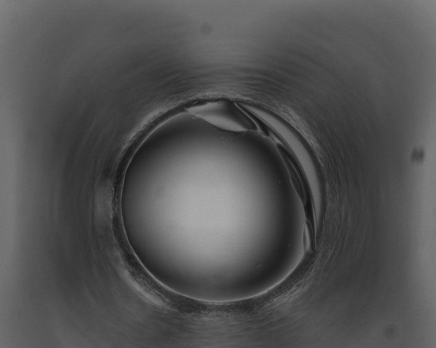 X0000093470530200710191147