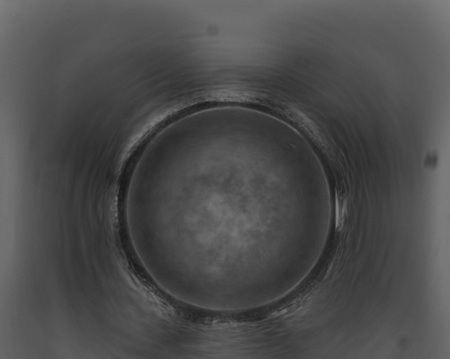 X0000093470531200710191147