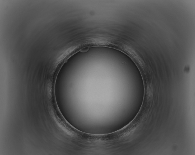 X0000093470533200710191147