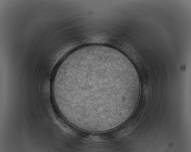 X0000093470534200710191147