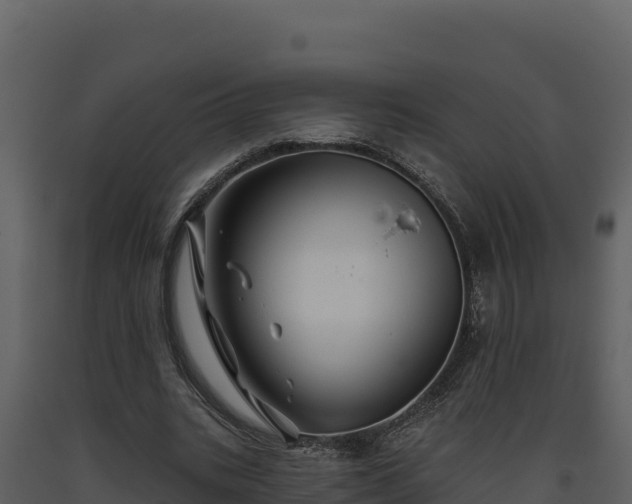 X0000093470535200710191147