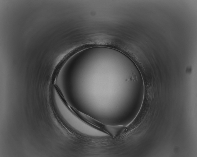 X0000093470536200710191147