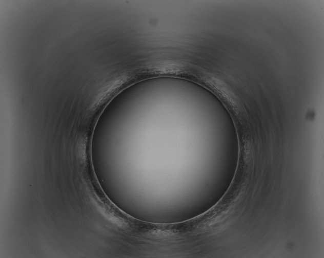 X0000093470537200710191147