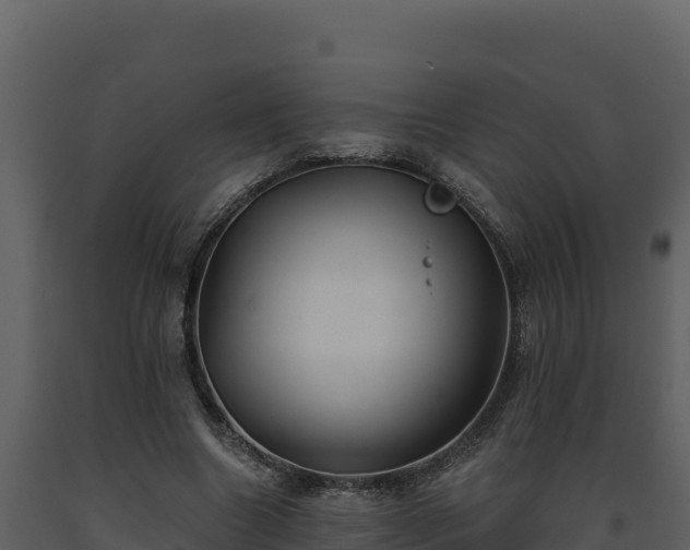 X0000093470538200710191147