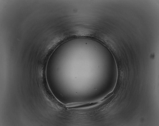 X0000093470539200710191147