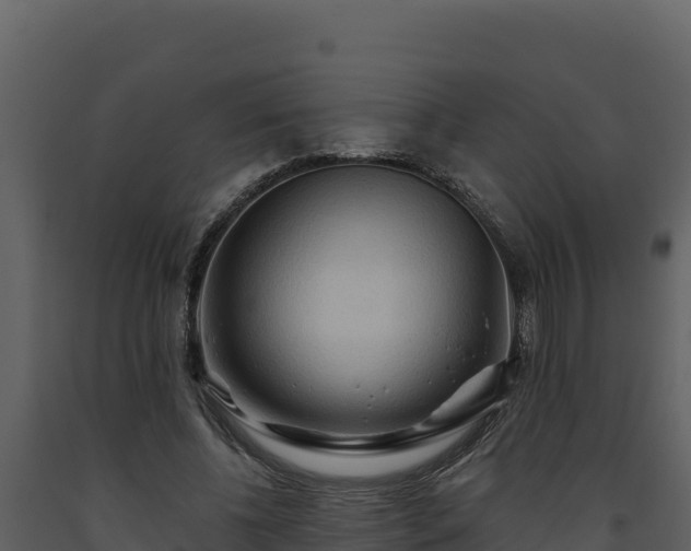 X0000093470540200710191147