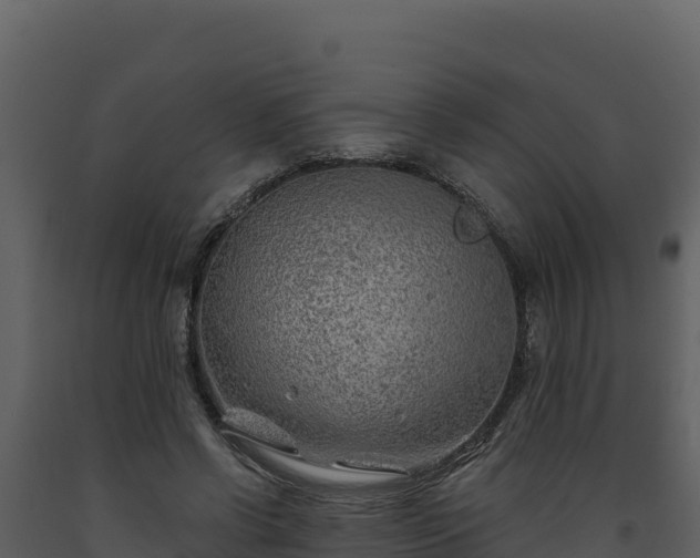 X0000093470542200710191147