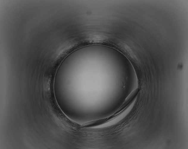 X0000093470543200710191147