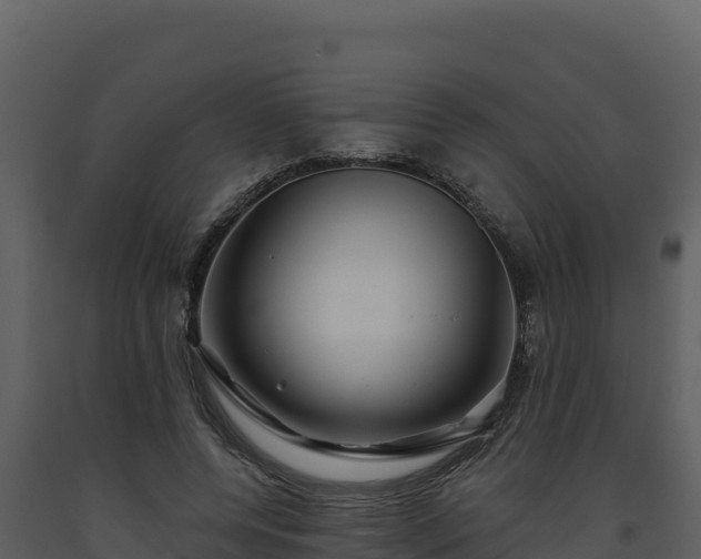 X0000093470544200710191147