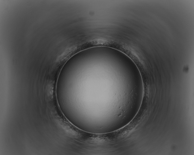 X0000093470545200710191147