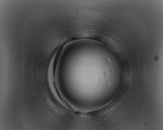 X0000093470546200710191147