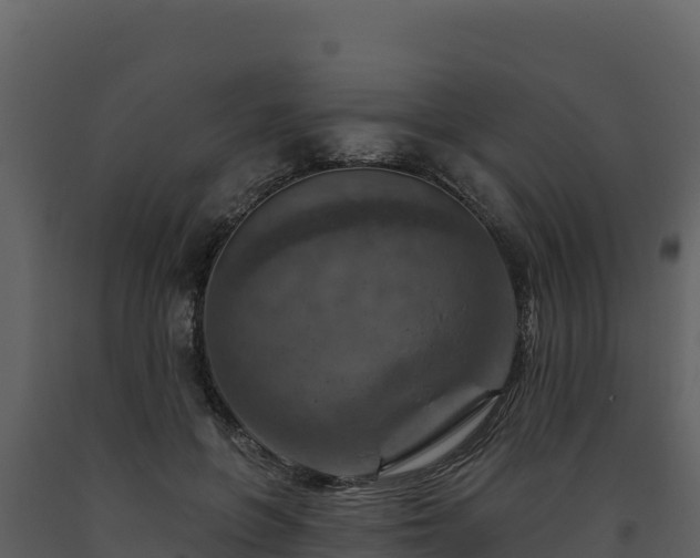 X0000093470551200710191147