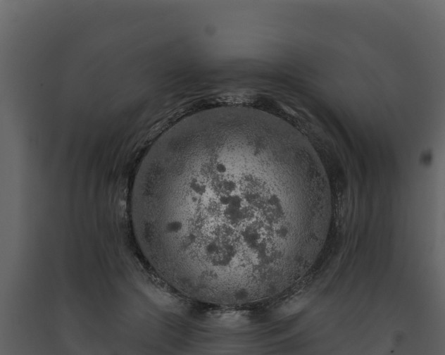 X0000093470553200710191147