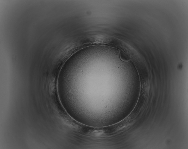 X0000093470554200710191147