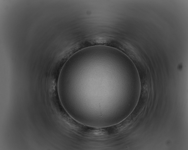 X0000093470555200710191147