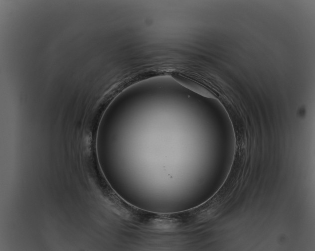 X0000093470556200710191147