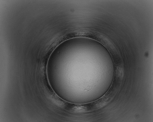 X0000093470557200710191147