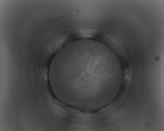 X0000093470559200710191147