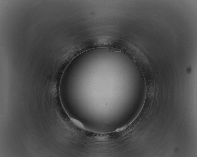 X0000093470560200710191147