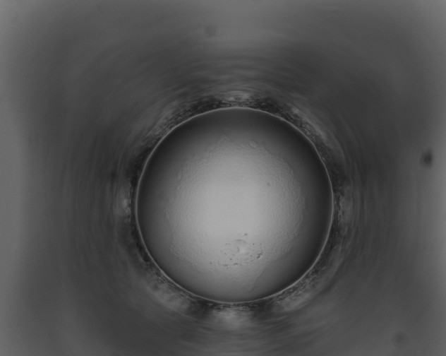 X0000093470561200710191147