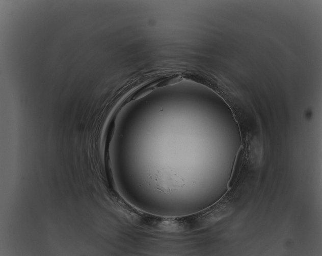 X0000093470562200710191147