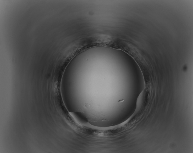 X0000093470564200710191147