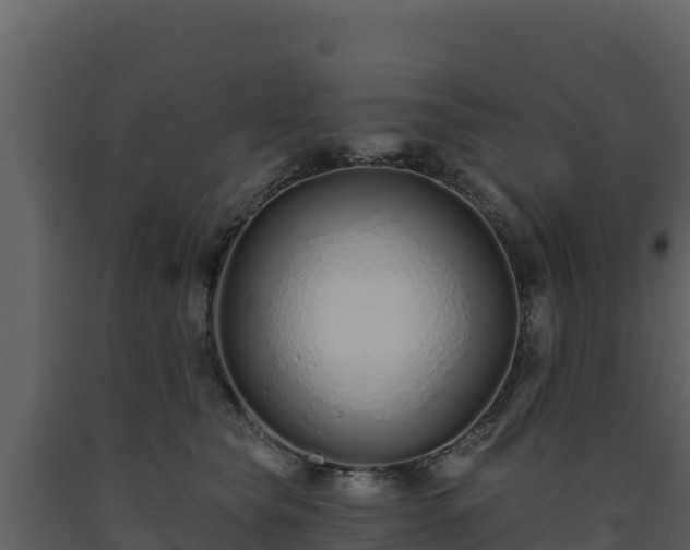 X0000093470565200710191147